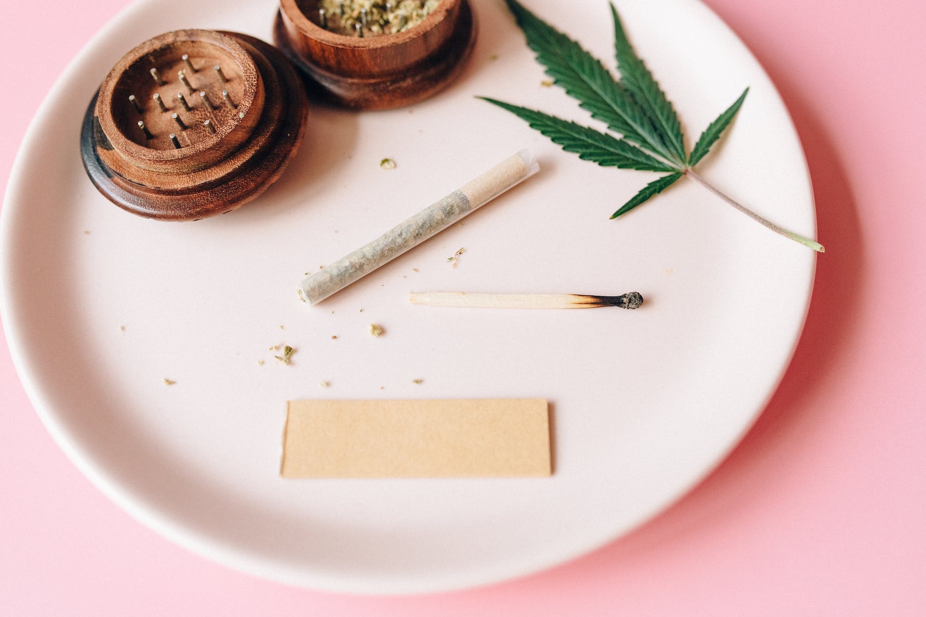 CBD vs. THC: The Ultimate Face-Off for Your Health and Wellness