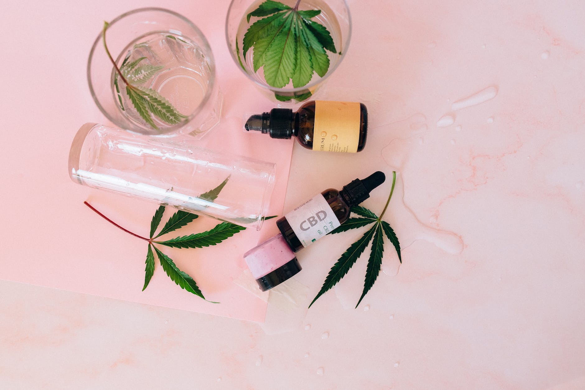 Unveiling the Power of CBD in Skincare: From Acne to Wrinkles